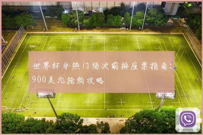 世界杯非热门场次前排座票指南：900美元抢购攻略